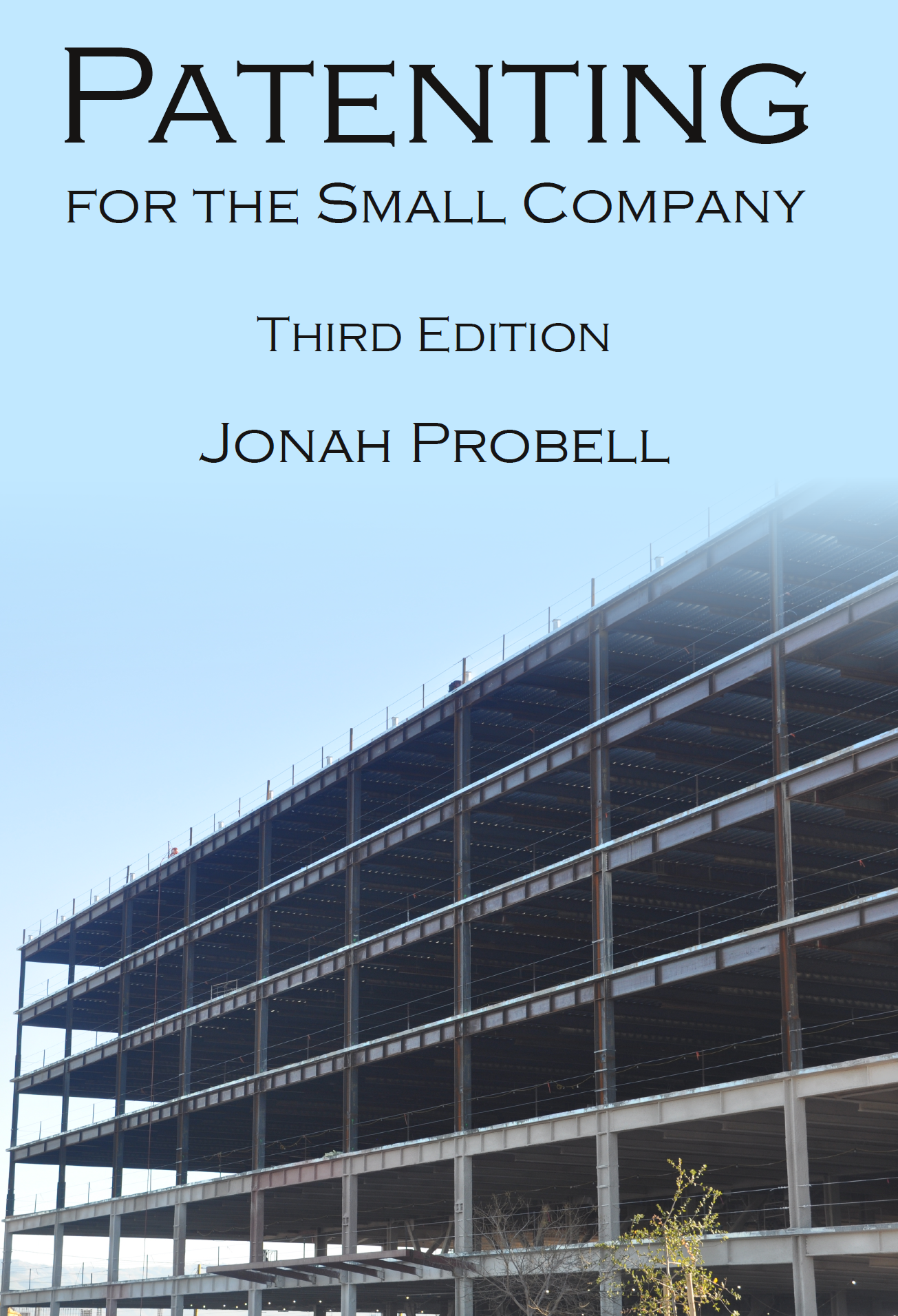 Patenting for the Small Company